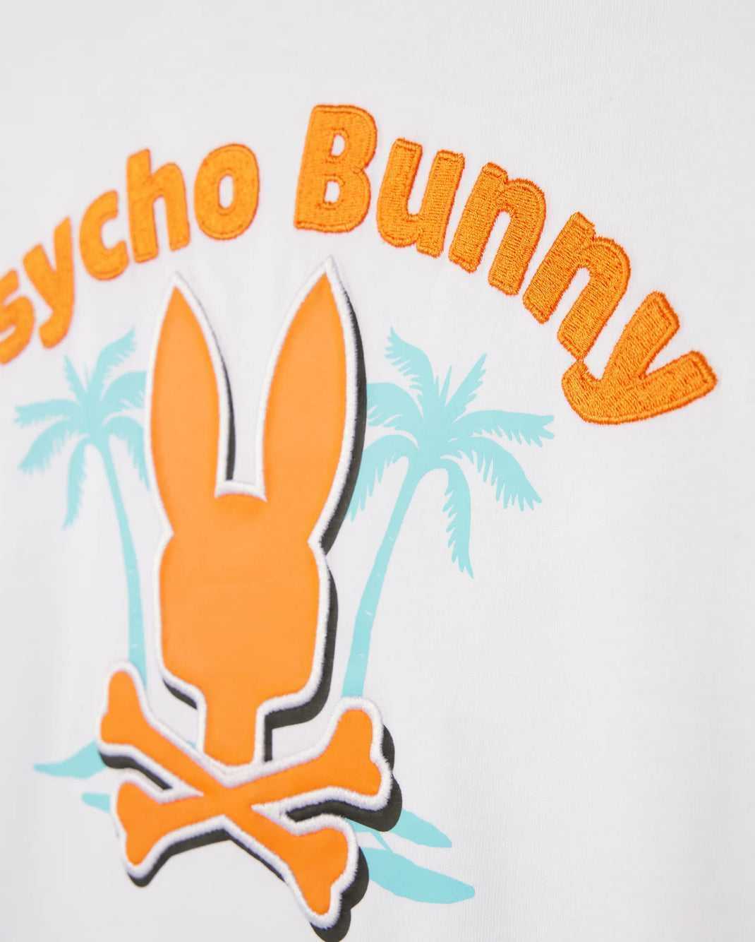 Tees Psycho Bunny Boston Graphic Tee Blanche Homme | JOX-23438930